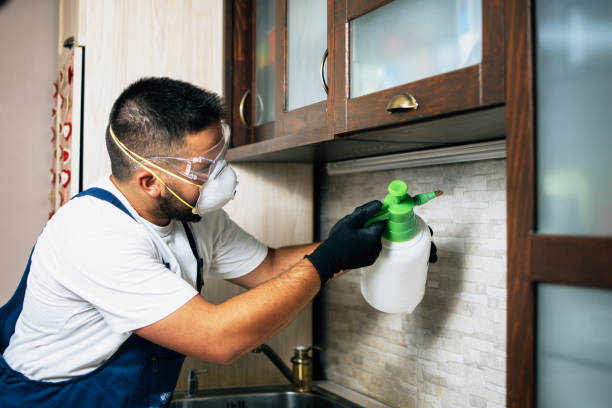 Best Pest Control for Restaurants  in Fletcher, OK