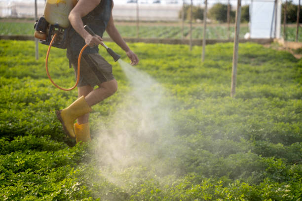 Best Commercial Pest Control Services  in Fletcher, OK