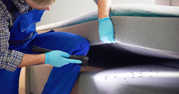 Best Affordable Pest Control Services  in Fletcher, OK
