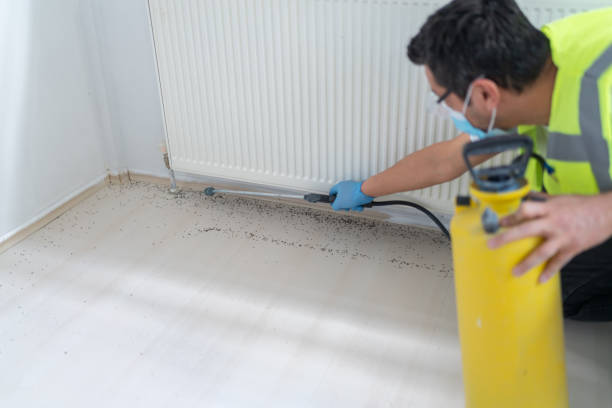 Best Best Pest Control Companies  in Fletcher, OK
